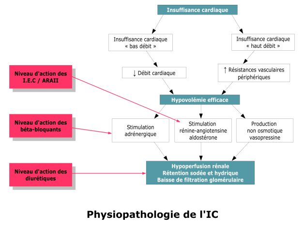 physiopath IC