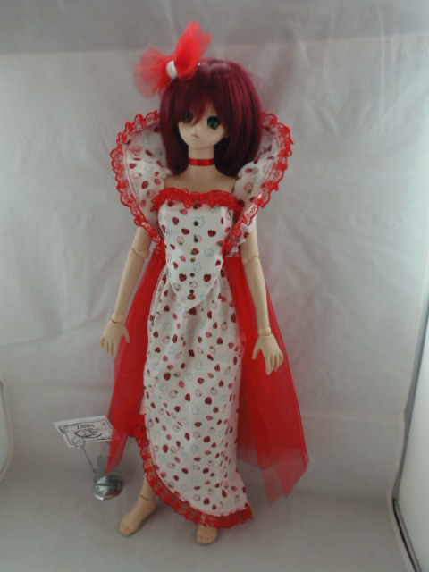 (V/E) pullip /yosd /MSD/MNF/SD /Dollfie Dream /Mini DD 1904250146186471816211895