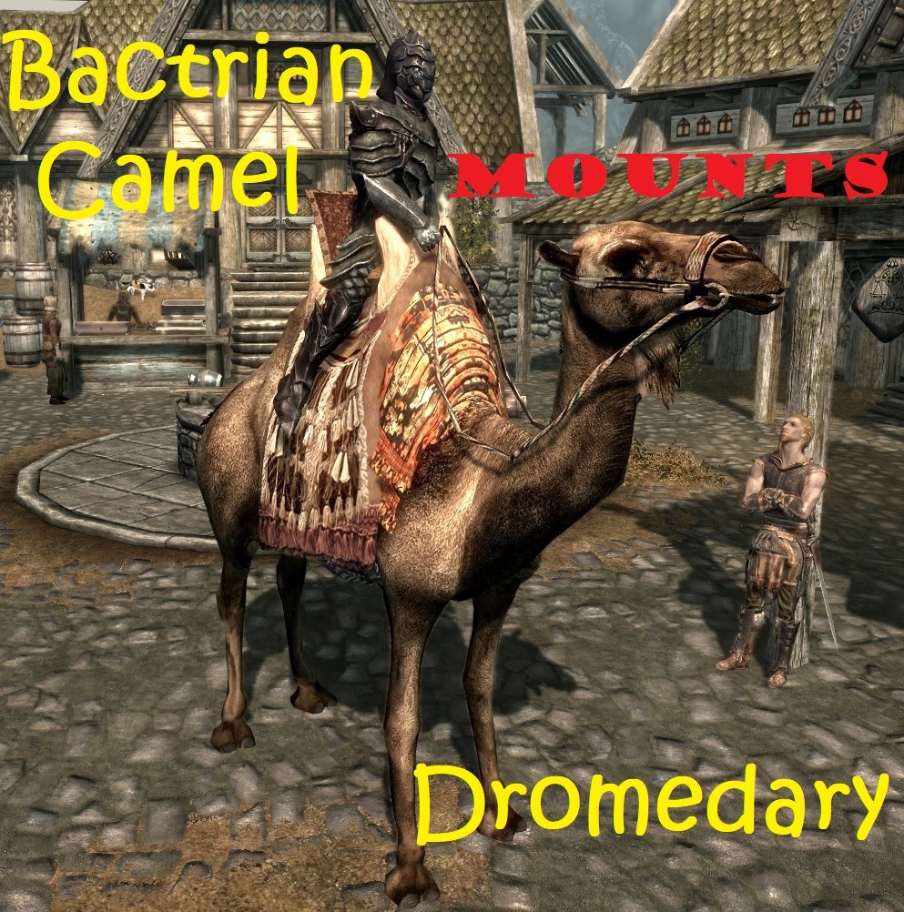 Dromedary and Bactrian