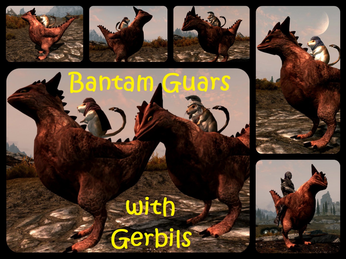 Bantam Guars with Gerbils