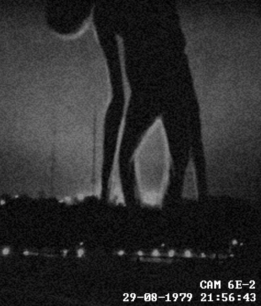 19060510270417816216262828.png
