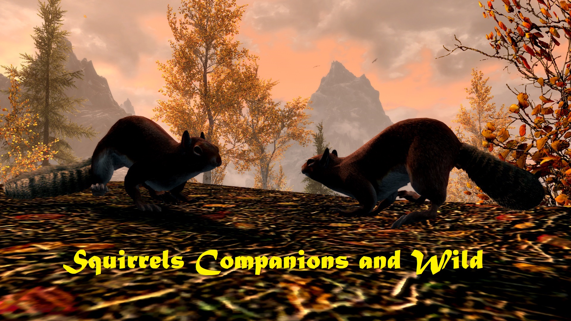 Squirrels Companions and Wild