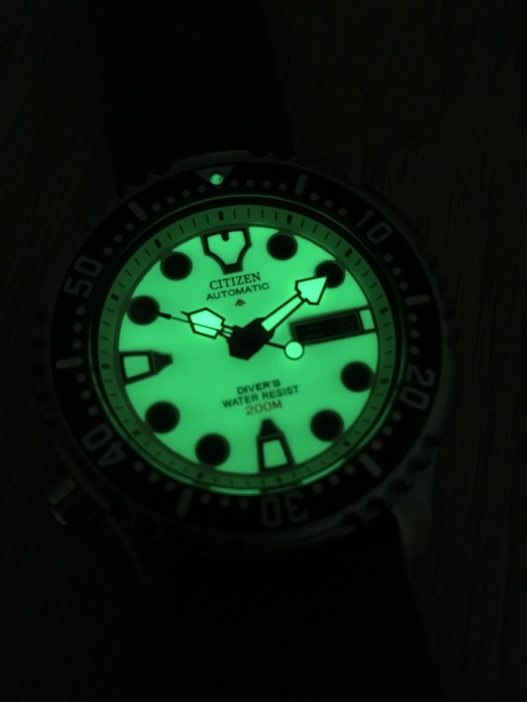 citizen jubilee watch