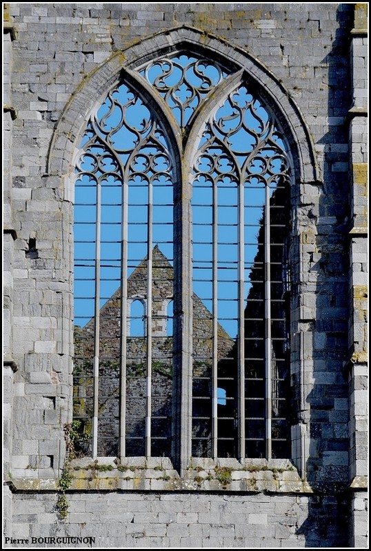 Abbaye d'Aulne, photographie infrarouge par Pierre BOURGUIGNON, Belgique