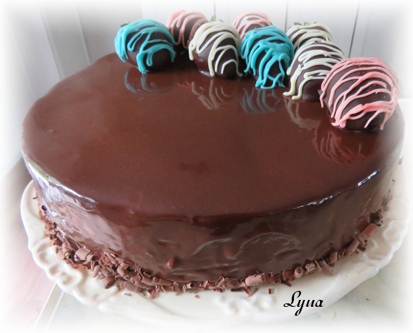 Gâteau mousse de chocolat blanc, miroir de chocolat noir 19061605341418416816276057