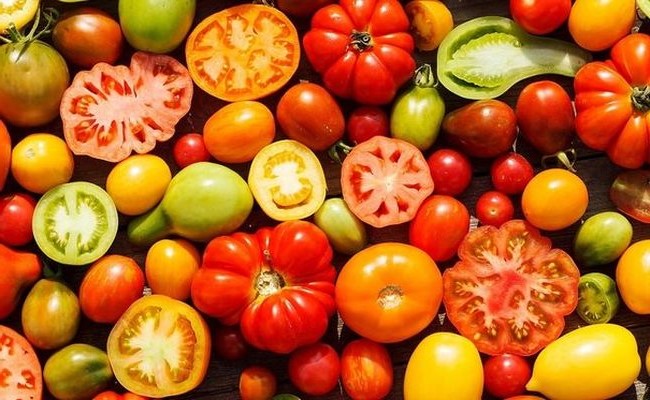 Cultiver les tomates  1907080230362849716304178