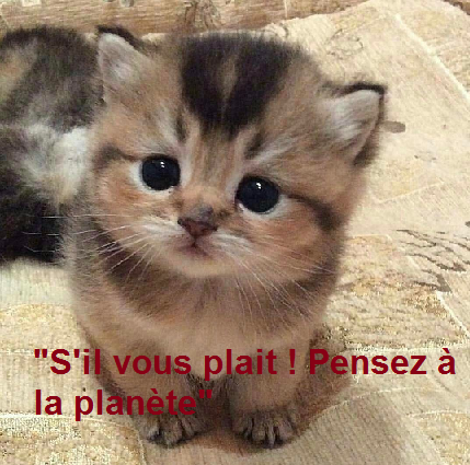 Fichier