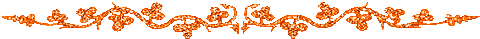 orange489