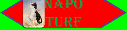 NAPO TURF