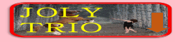JOLY TRIO