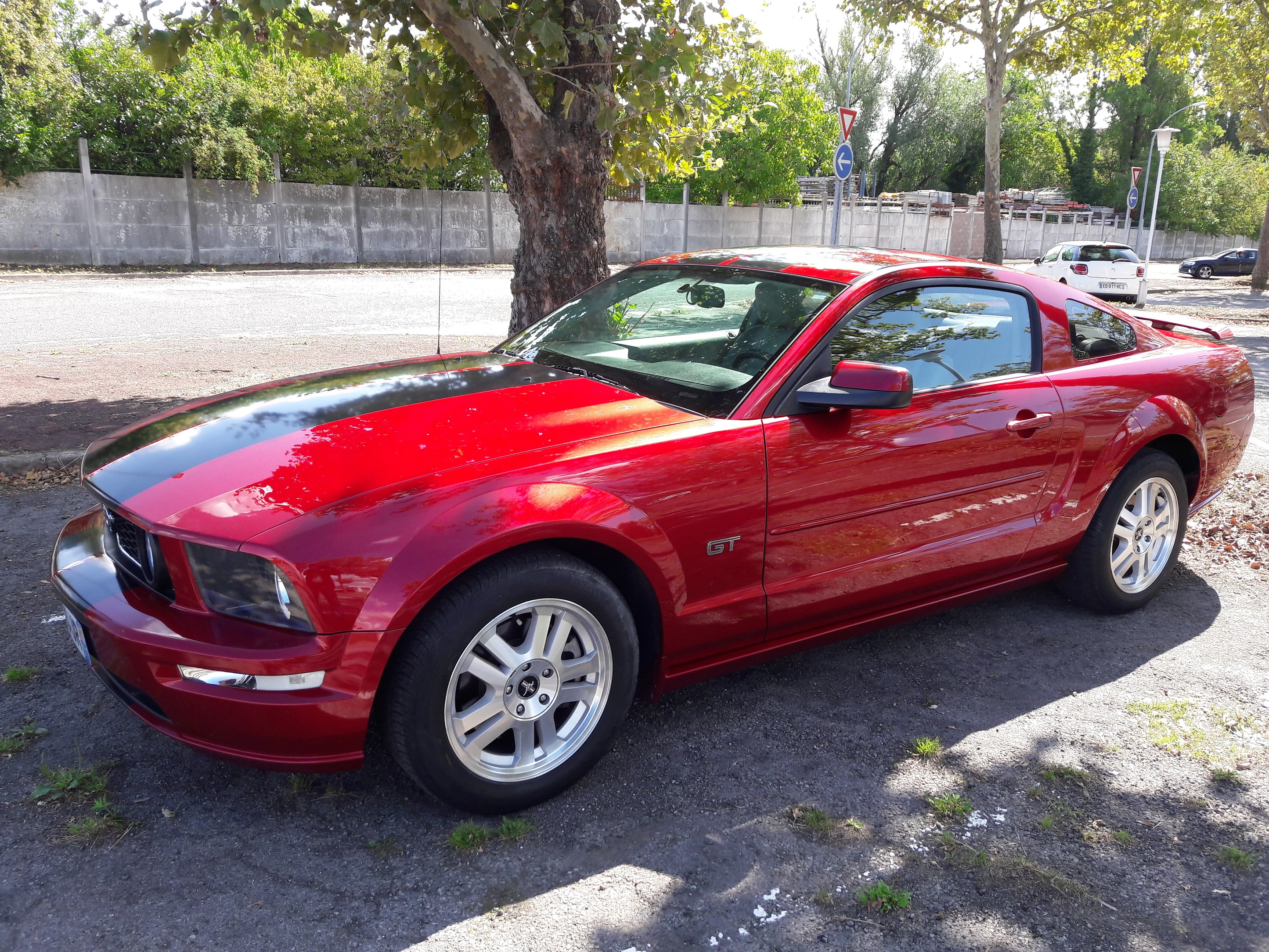 Mustang R