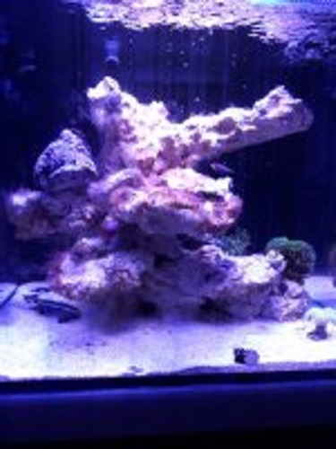 mini_190907082411857802