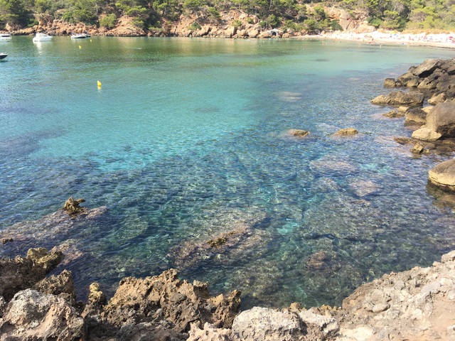 photo_1 - 2019-09-09T175107.646