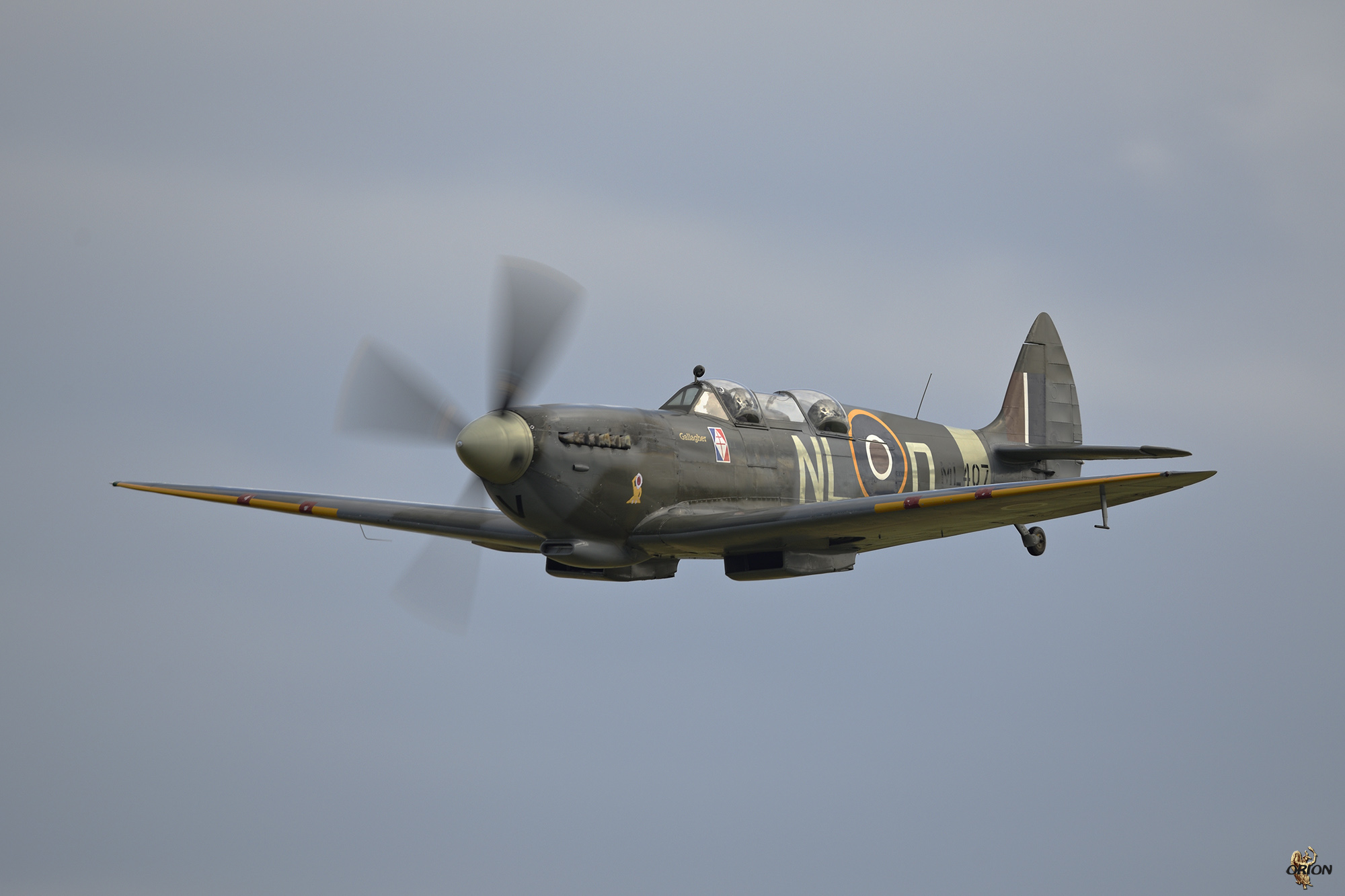 Spitfire TR9_D8C26097