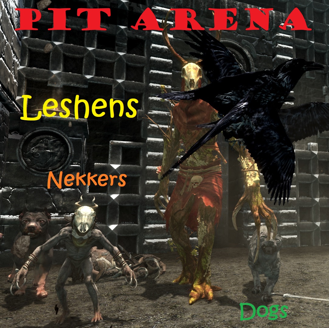 Pit Arena