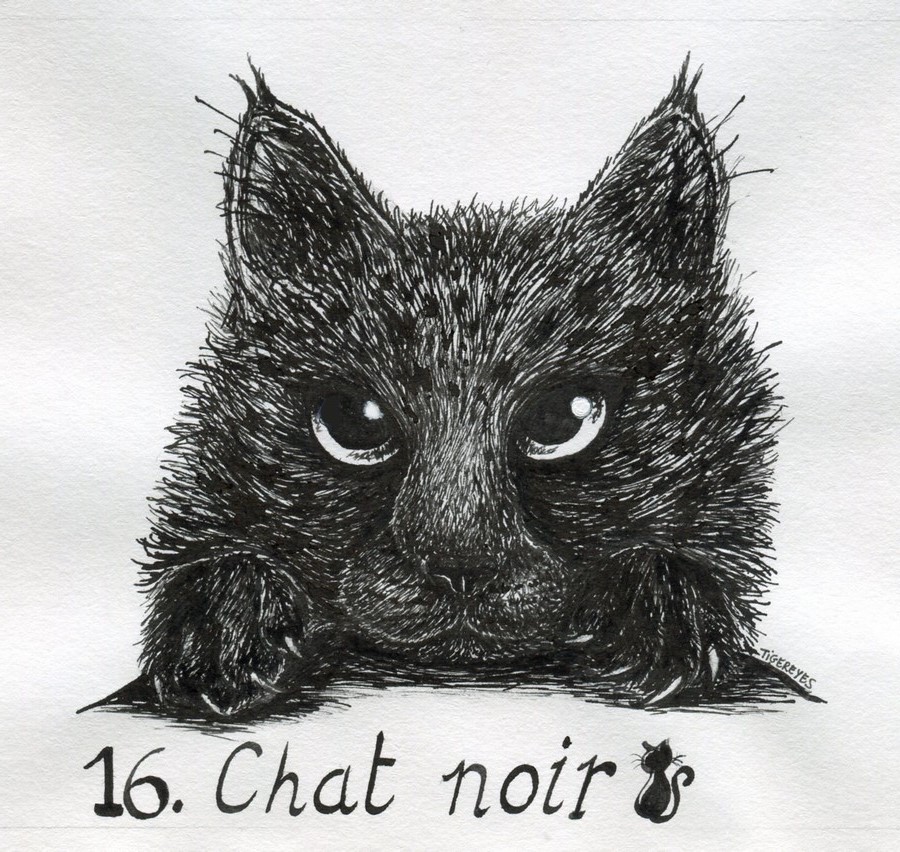 Inktober 16 Chat noir