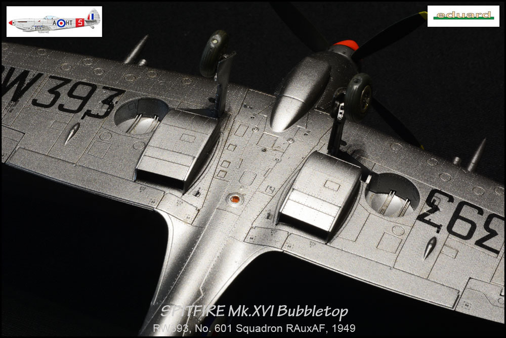 Spitfire MK XVI Bubbletop ÷ Eduard 8285 ÷ 1/48 1911090643055585016501364
