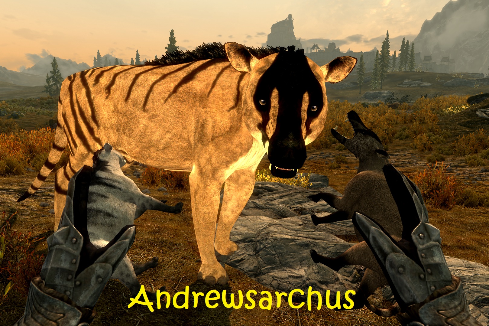 Andrewsarchus 3