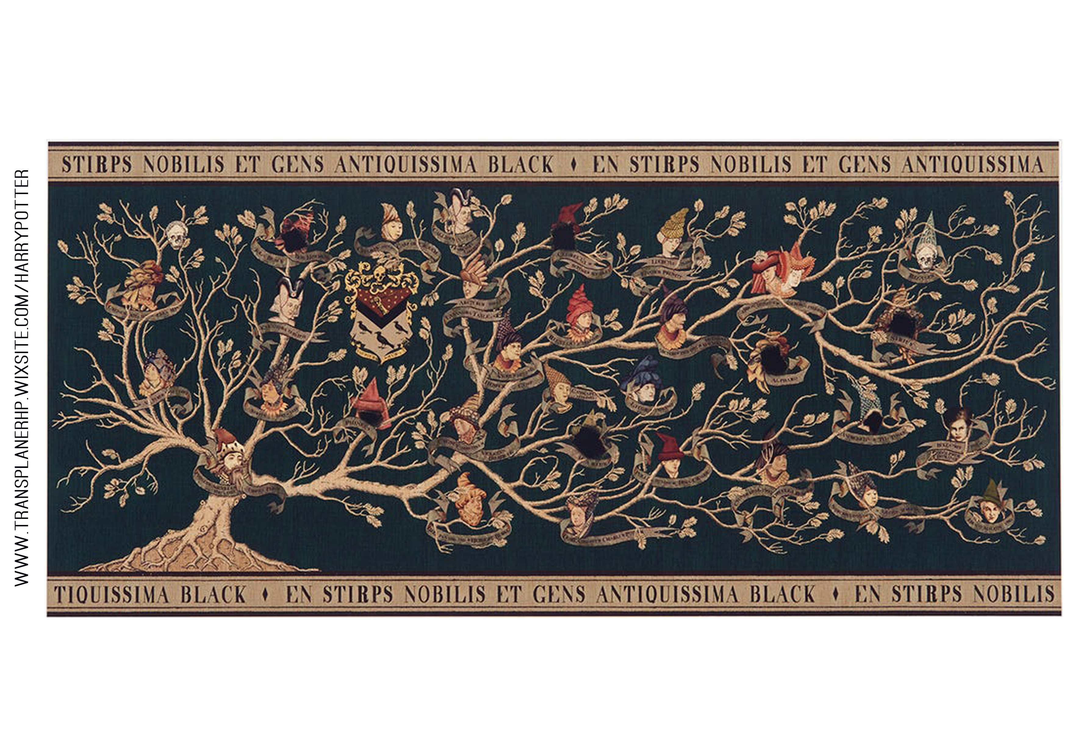 древо блэков гарри поттер. хогвартс легаси девиз семьи блэков. семейное древо блэков гарри. генеалогическое древо сириуса блэка. семейное древо блэков из гарри поттера.