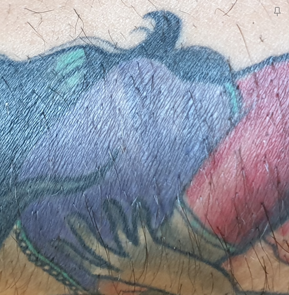 https://nsm09.casimages.com/img/2019/11/12/1911120328095086216506588.png