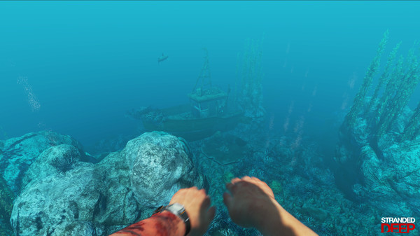 stranded-deep-2