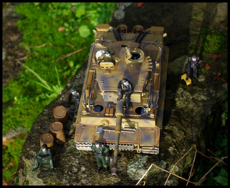 tiger 1/35