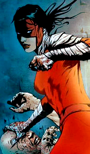 Kate S.K./Manhunter VIII