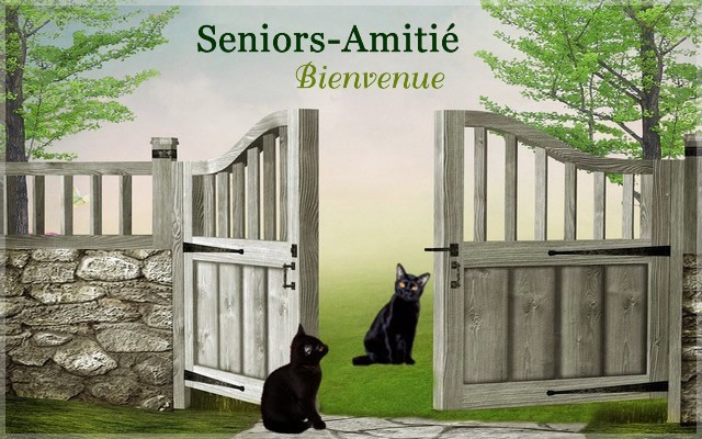Inscription des Membres WIYPIb-Accueil-103