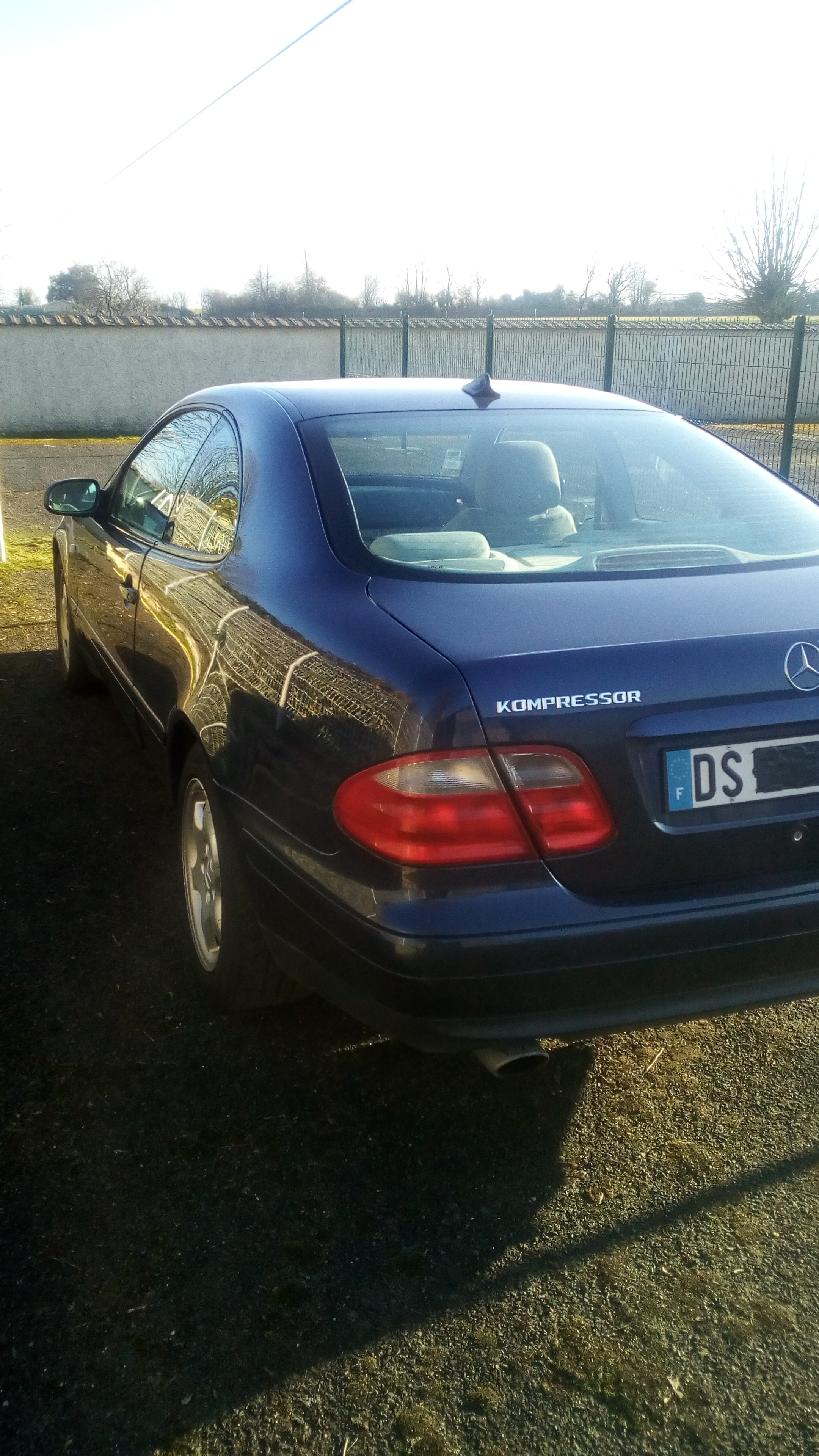 mercedes (3)