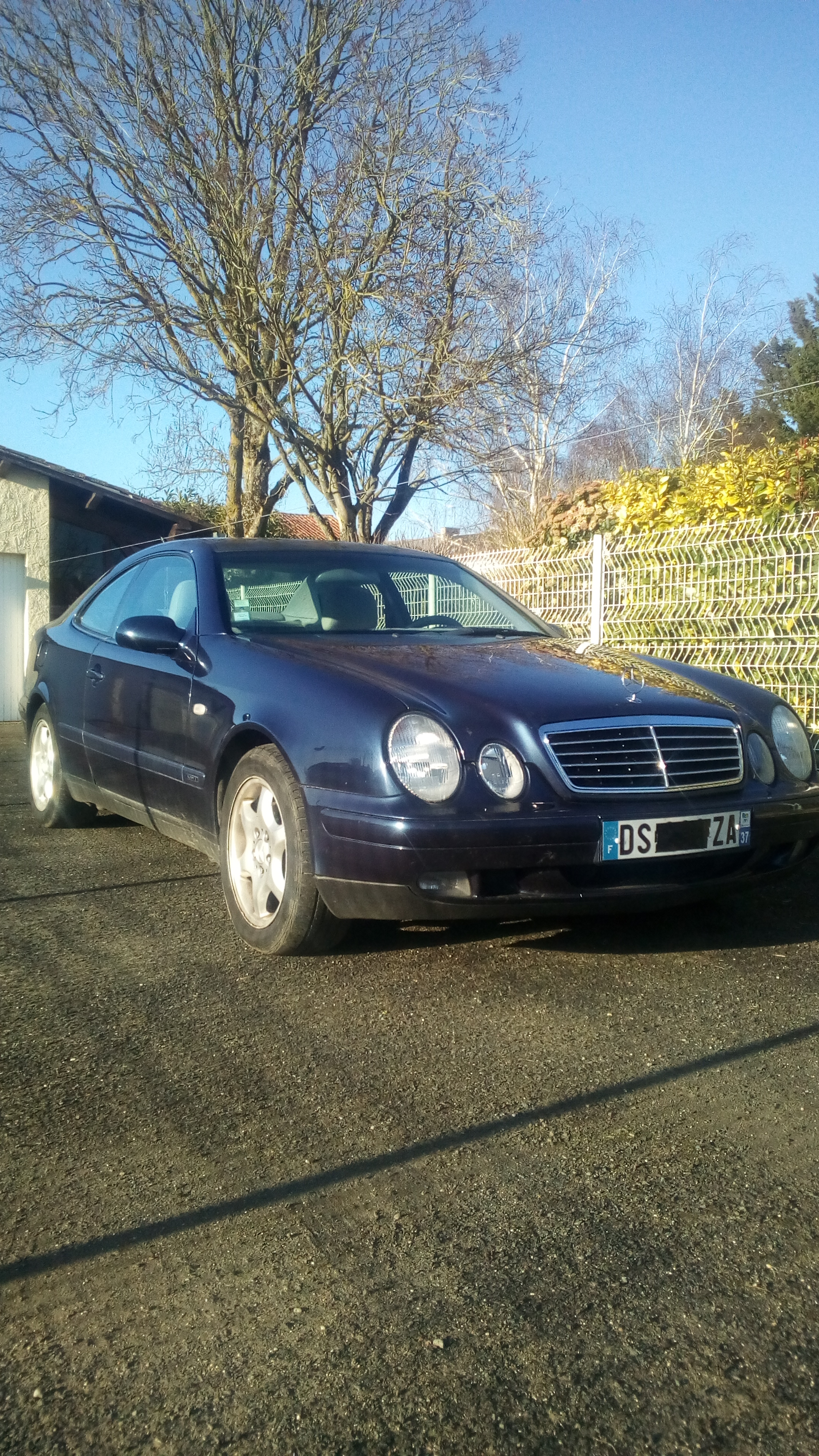 mercedes (6)