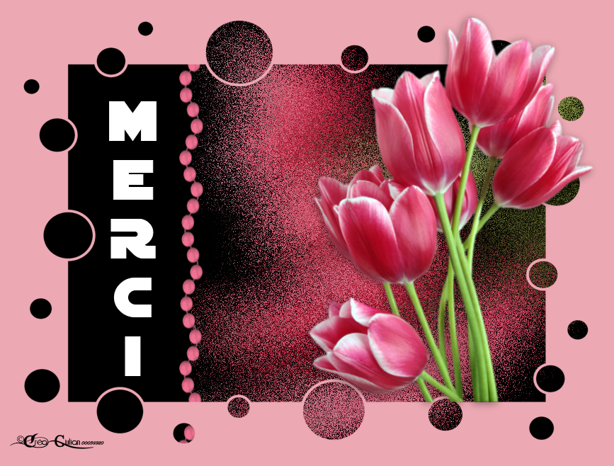 3.Remerciements 016