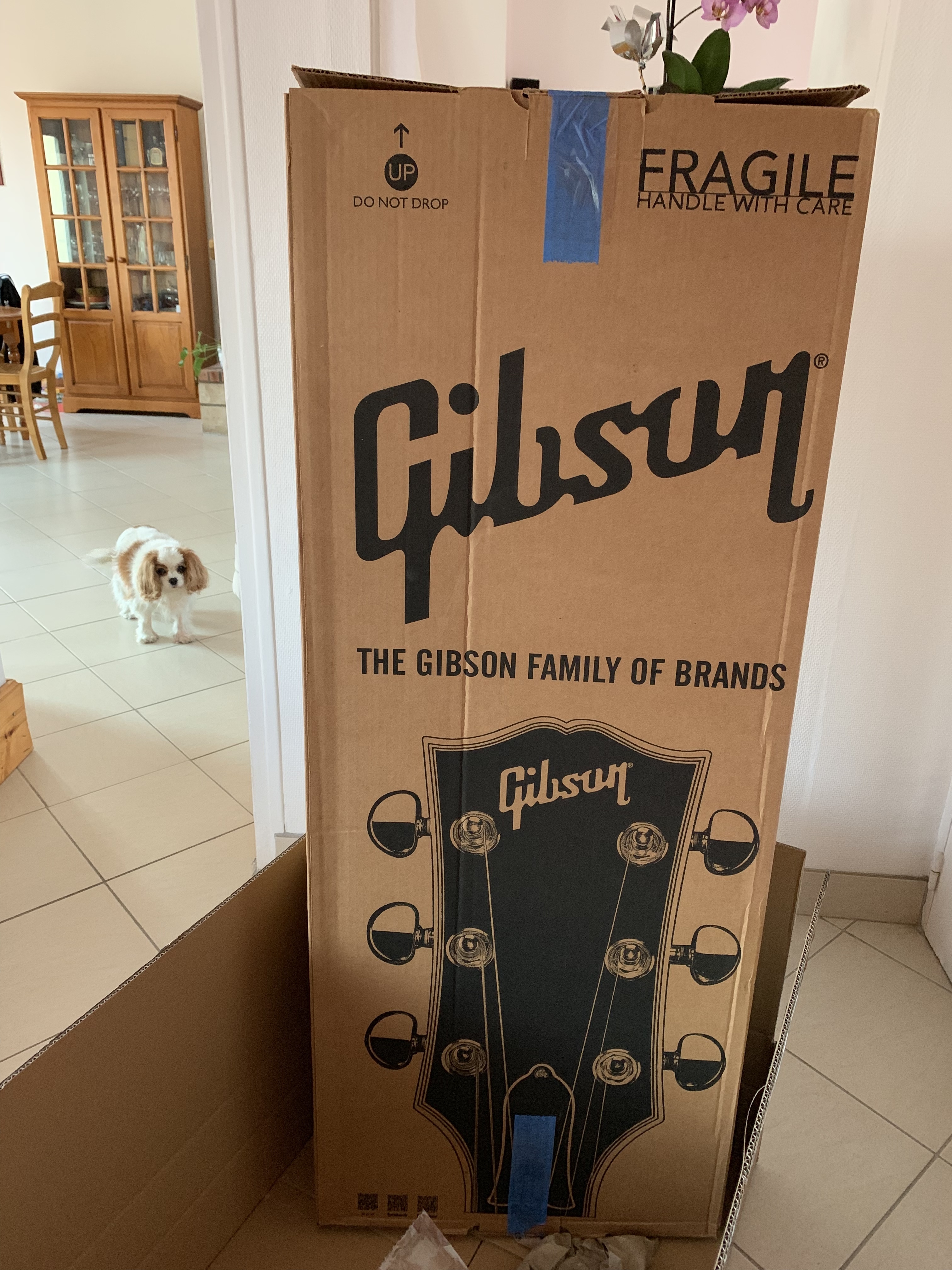 6B977356-F5F0-467F-BB8C-54C8BE6C21DD.