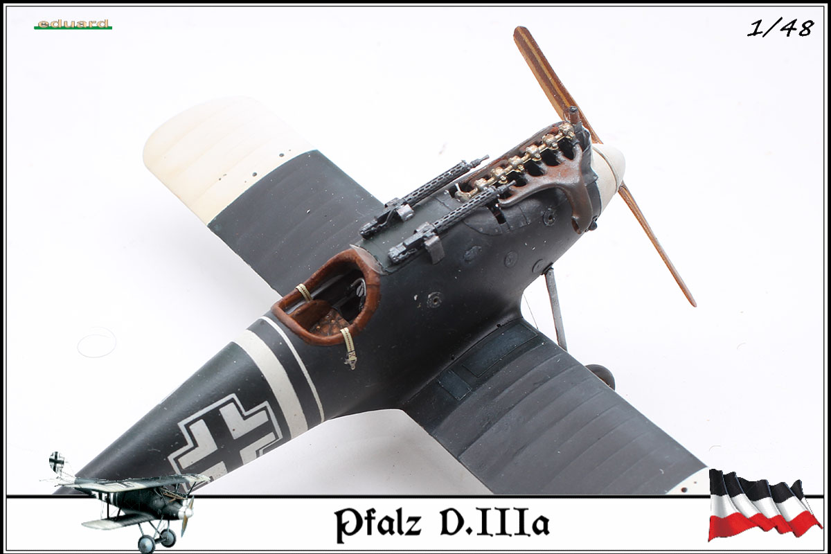 Pfalz D.IIIa busso von Abensleben,  jasta 21, 1918 - Page 7 20030208314423469216671152