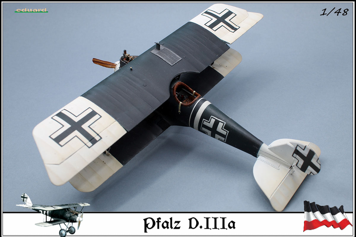 Pfalz D.IIIa busso von Abensleben,  jasta 21, 1918 - Page 8 20030305022523469216671823
