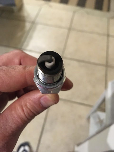 photo_1 - 2020-03-08T202706.268