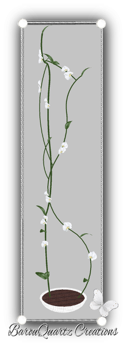 GT orchid grimp