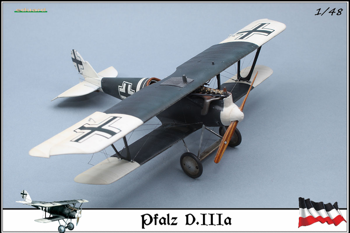 Pfalz D.IIIa busso von Abensleben,  jasta 21, 1918 - Page 8 20030908502023469216680036