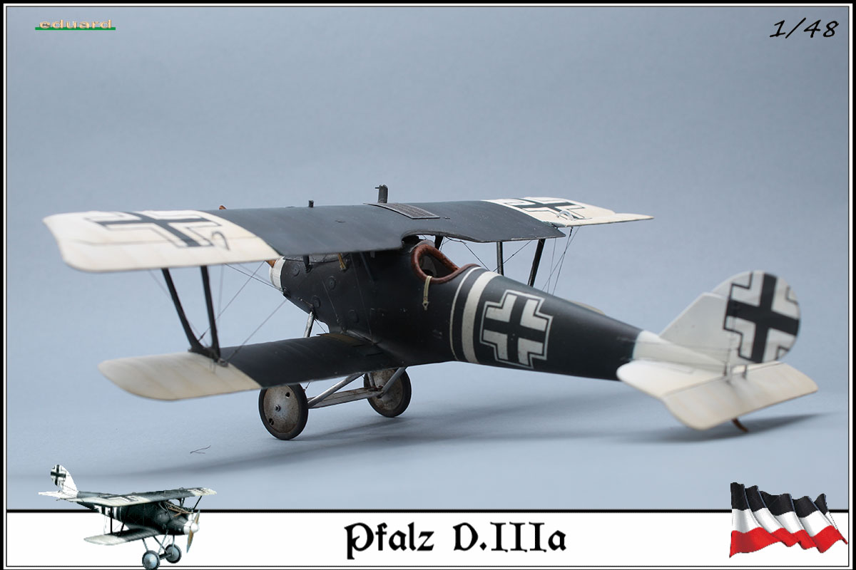 Pfalz D.IIIa busso von Abensleben,  jasta 21, 1918 - Page 8 20030908502123469216680037