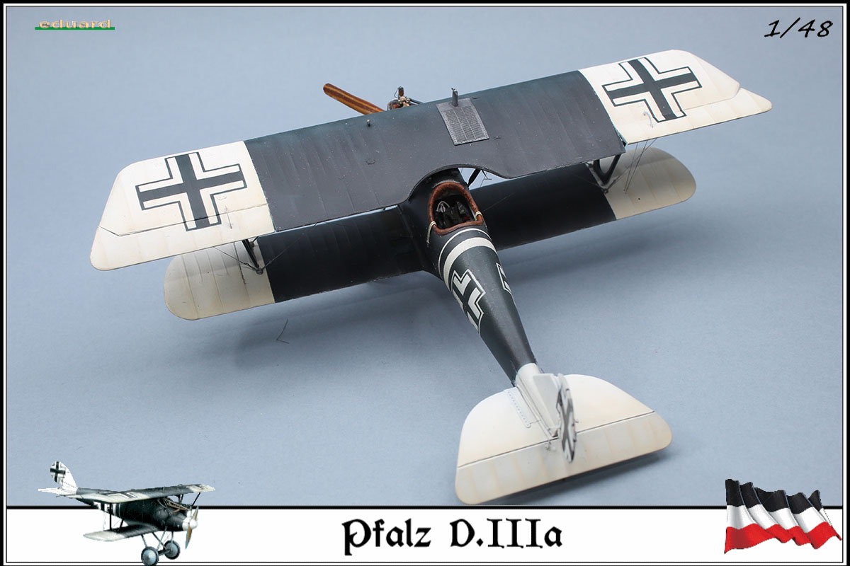 Pfalz D.IIIa busso von Abensleben,  jasta 21, 1918 - Page 8 20030908502123469216680038