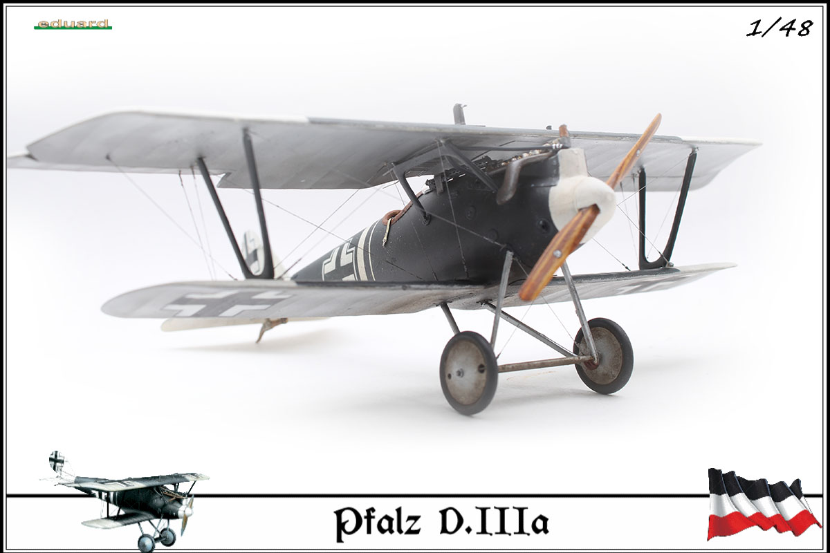 Pfalz D.IIIa busso von Abensleben,  jasta 21, 1918 - Page 8 20030908502123469216680039