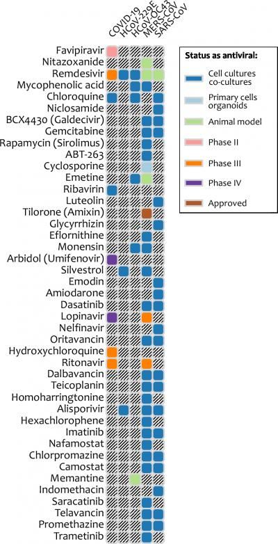 f(x)= .... Coronavirus Covid-19 - Page 8 20031209305019405316685912