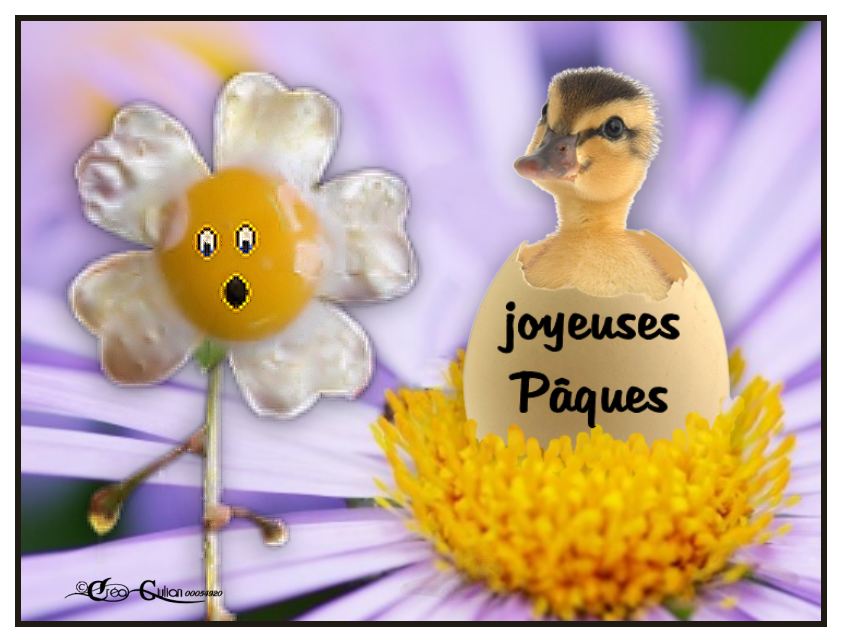 1.P&acirc;ques 023