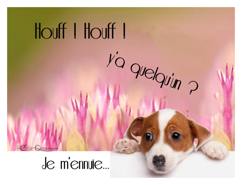 3.Amitié 015