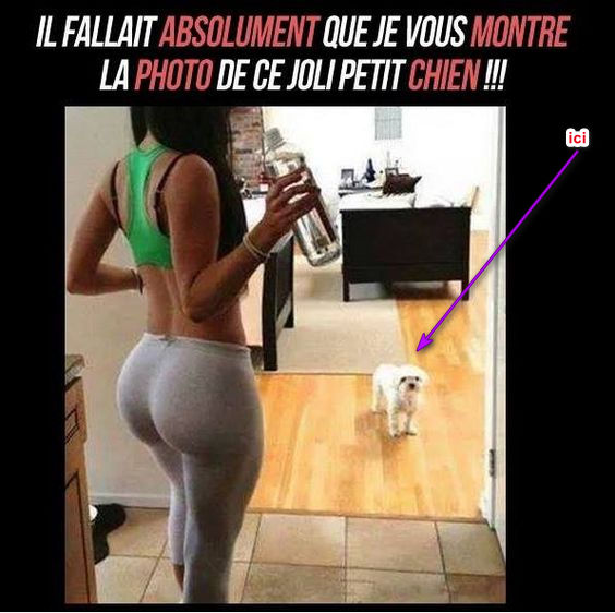 9b3a3cbd9747b84c7e5088d041b4352b