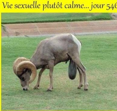 bfddfe8b3fd4793537fd867d58cbd6ef