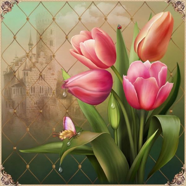 szep_tulipanok
