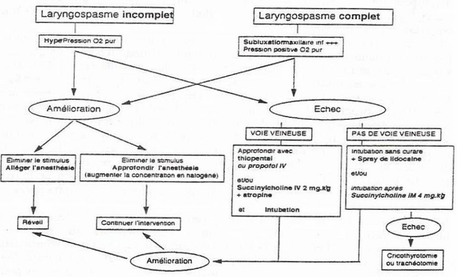 CAT laryngospasme