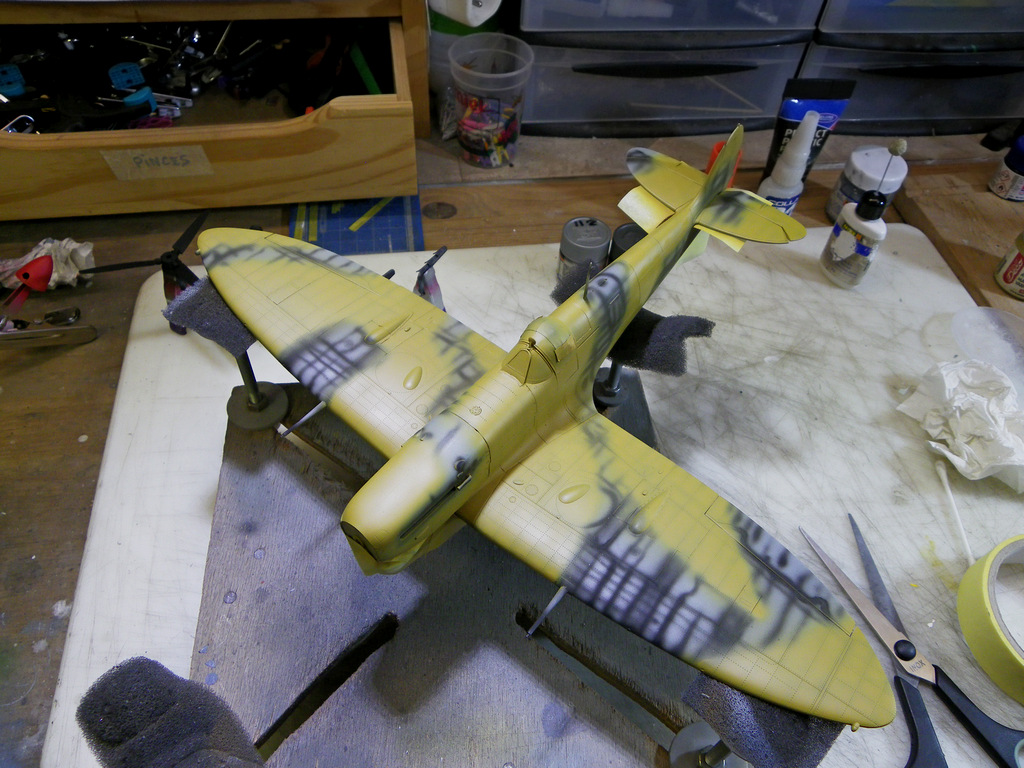 Spitfire Mk V Trop - HobbyBoss - 1/32 (28-10-16 FINI) RFCMJb-IMGP3959