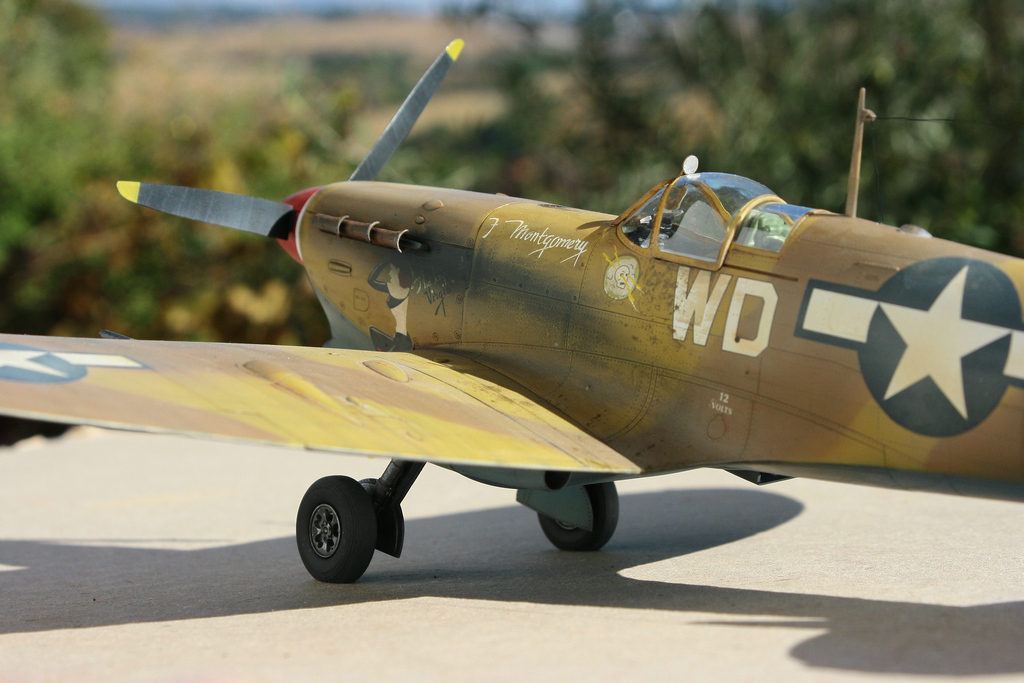  Spitfire Mk V Trop - HobbyBoss - 1/32 UOCMJb-IMG-6608