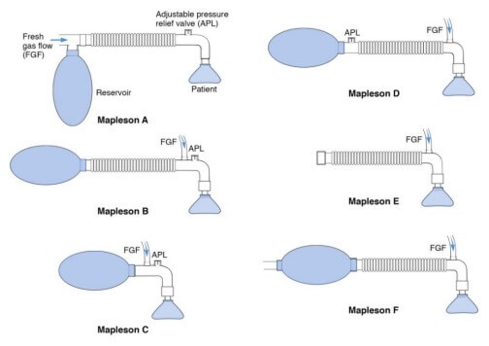 circuits de mapelson1